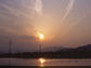 水田の夕暮れ