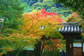 初秋の情景V-1