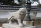 寅その3(建仁寺・両足院)