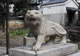 寅その4(建仁寺・両足院)
