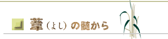i悵j̐