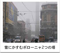 ɂރ{[jQ̓
