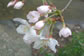 \CVm02