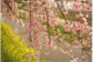 V_UN02