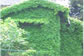 V03